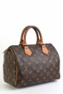 Louis Vuitton Speedy 25 thumbnail