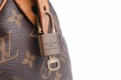 Louis Vuitton Speedy 25 thumbnail