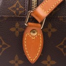 Louis Vuitton Blois thumbnail