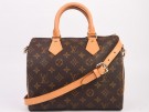 Louis Vuitton Speedy 25 turn into bando thumbnail