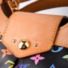  Louis Vuitton Ursula Multicolor 2007 – Lekker og leken ikon    thumbnail