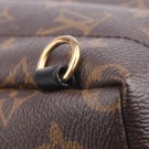 LOUIS VUITTON PALM SPRINGS – MONOGRAM CANVAS (2020) thumbnail