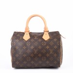 Louis Vuitton Speedy 25 – Monogram Canvas (2008)